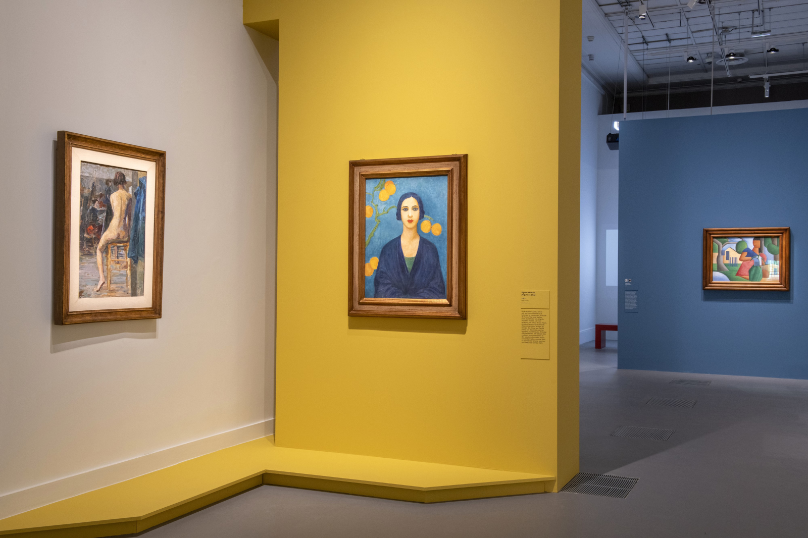 Vue de l'exposition Tarsila do Amaral