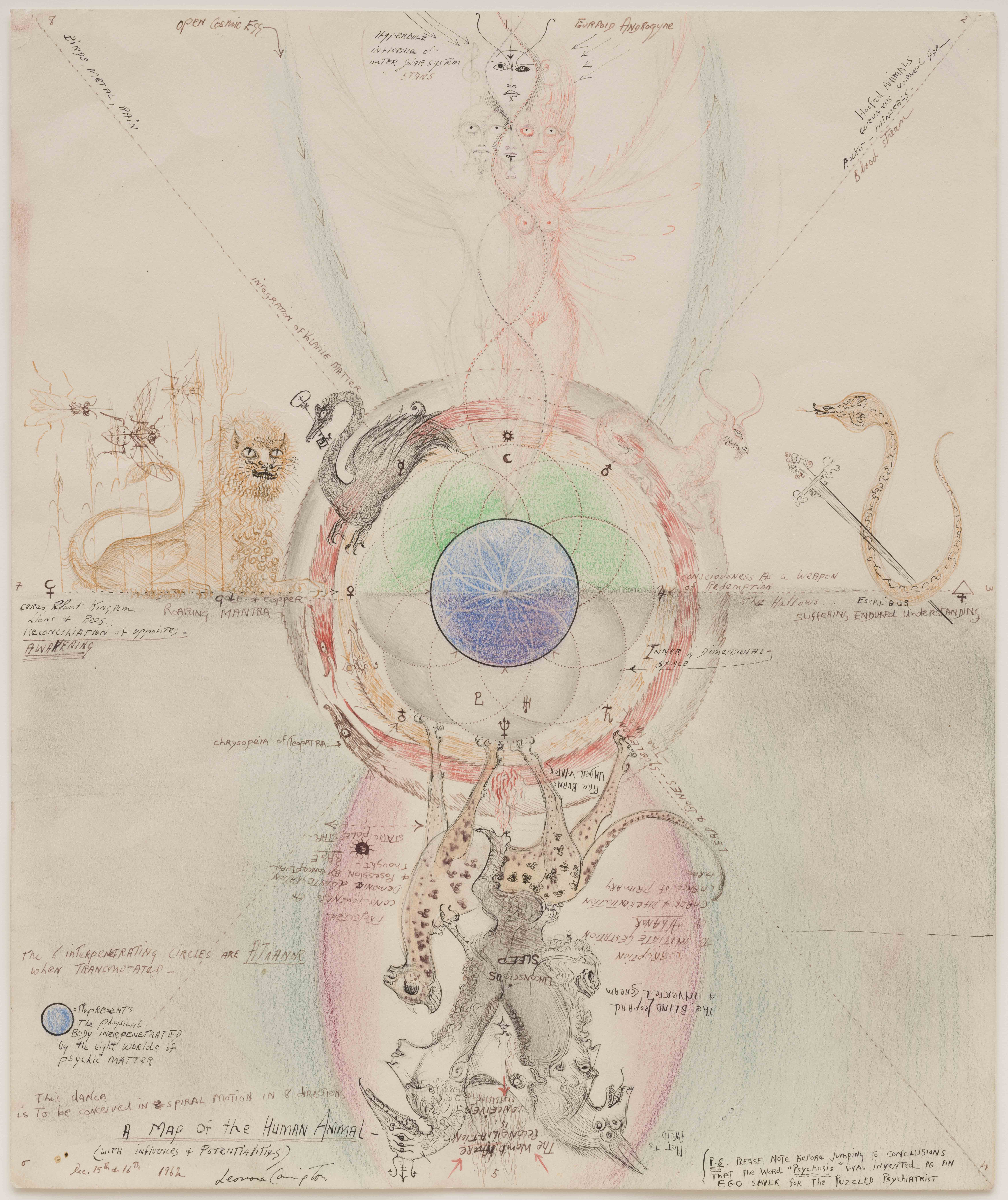 Leonora Carrington, A Map of the Human Animal [Une carte de l’animal humain], 1962 © 2026 Estate of Leonora Carrington / ADAGP, Paris © Collection of Marguerite Steed Hoffman / Jeff McLane