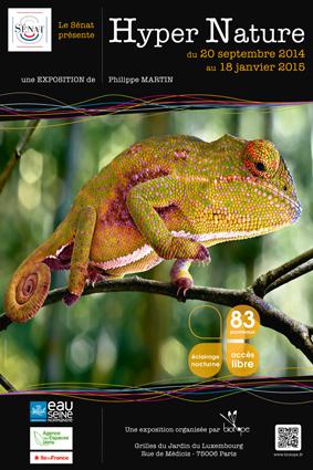 Media Name: affiche_senat_-_10x15cm_-_72dpi.jpg