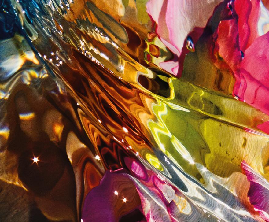 Media Name: test.jpg