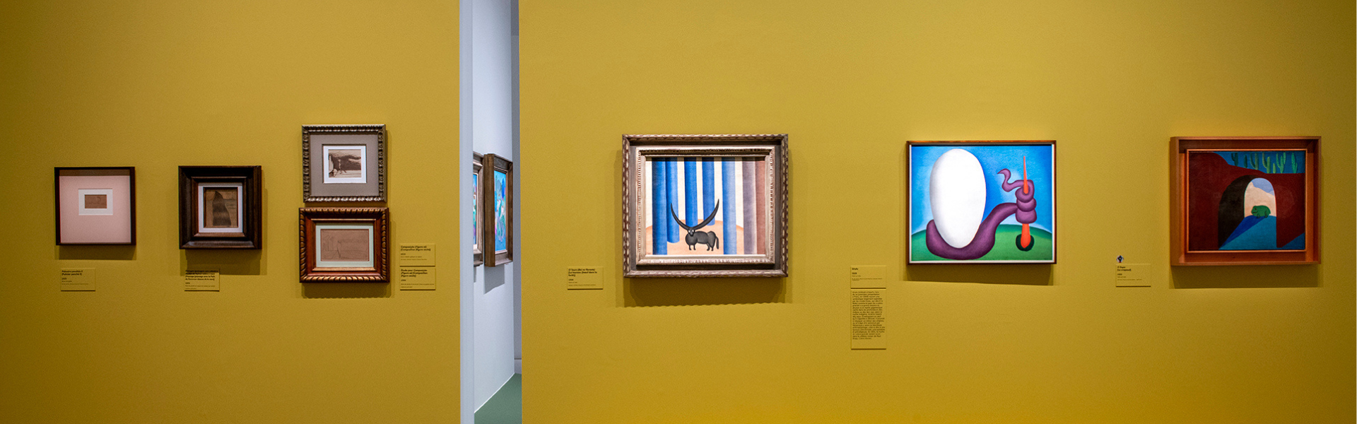 Vue de l'exposition Tarsila do Amaral au Musée du Luxembourg